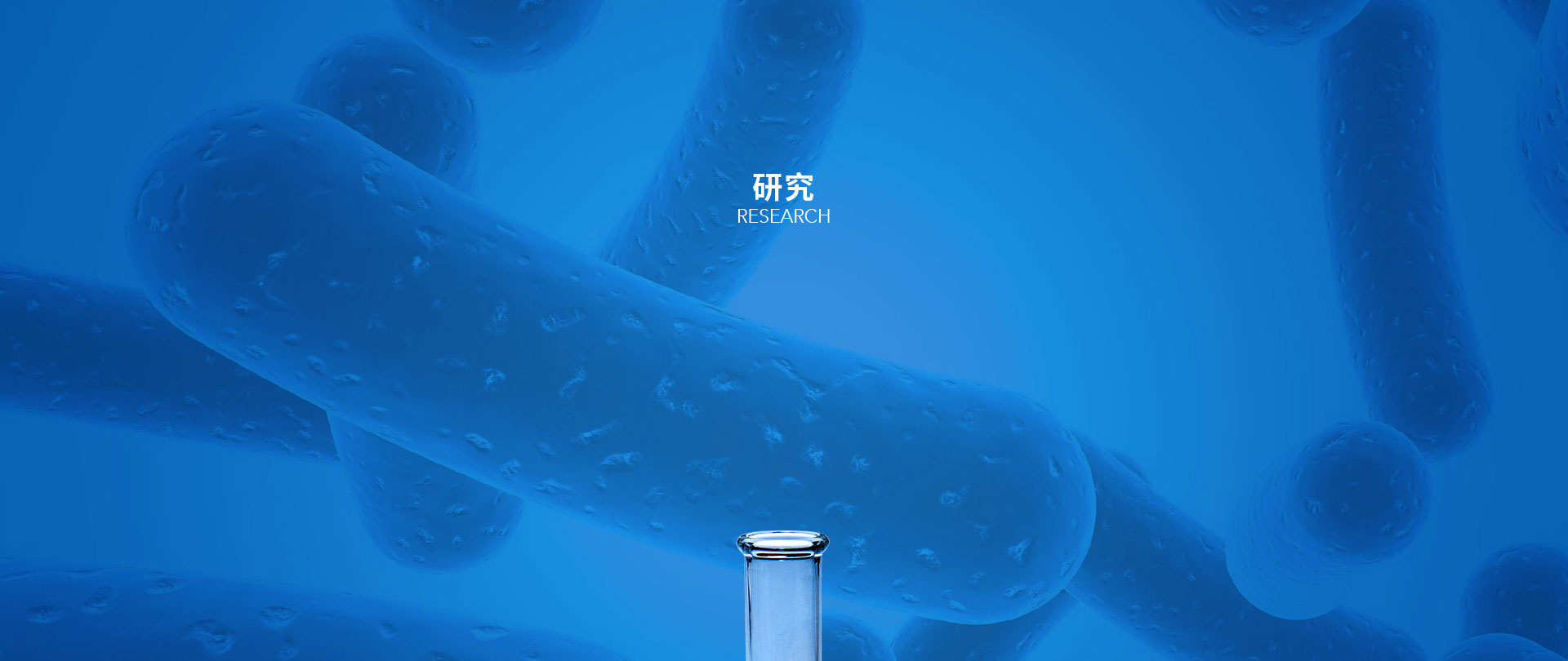 研究