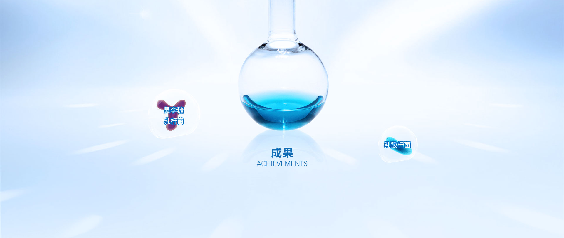 成果